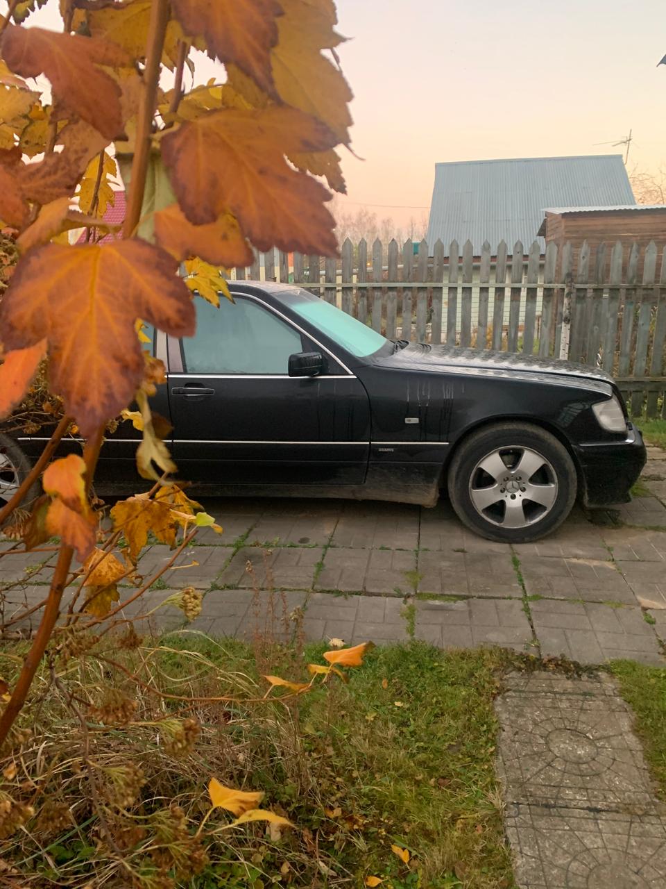 WhatsApp Image 2025-04-06 at 07.00.10.jpeg