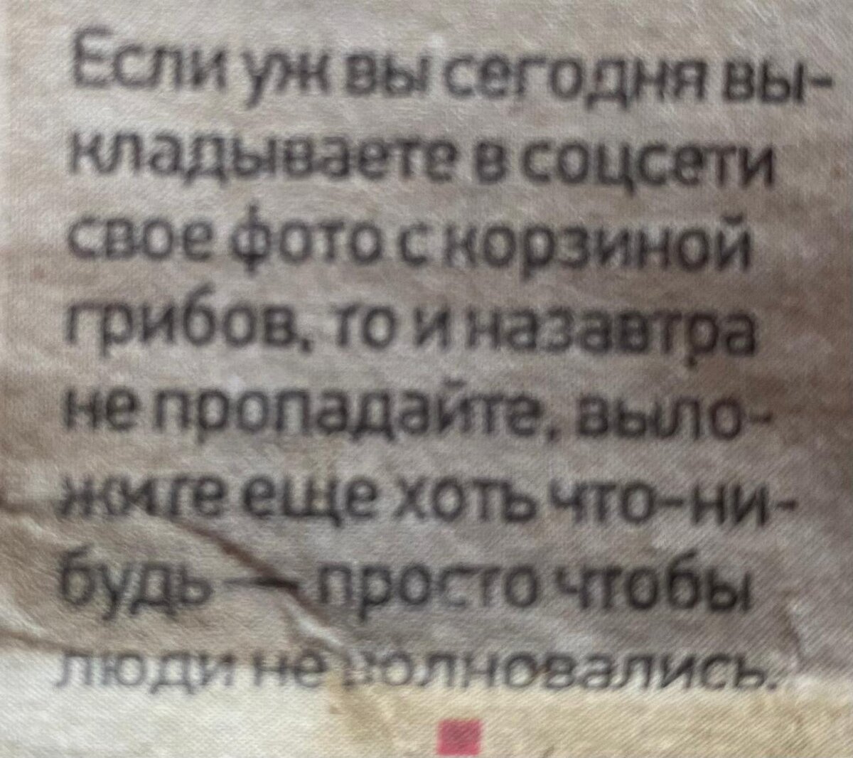 WhatsApp Image 2025-07-17 at 08.26.49.jpeg