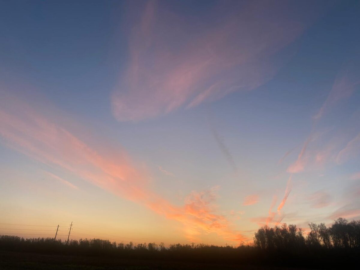 WhatsApp Image 2025-10-27 at 08.00.36.jpeg