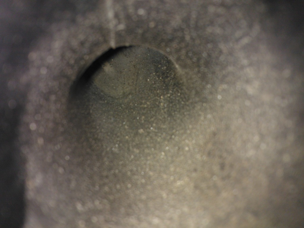 WP_000040.jpg