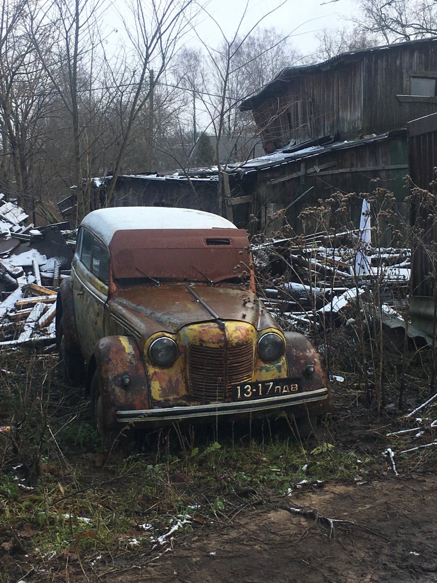 зелень 2.JPG