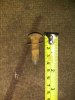 IMG_20180114_151807.jpg