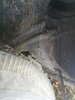 IMG_20201027_145329.jpg