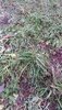 20211201_092159.jpg