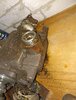IMG_20221029_140623.jpg