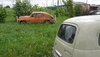 P1020137.JPG