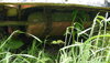 P1020143.JPG
