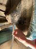 IMG_9135.jpeg