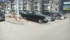 IMG-20250329-WA0037.jpg