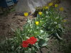 DSC09859.JPG