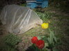 DSC09861.JPG