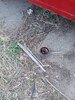 20250419_151908.jpg