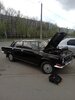 20250424_115031.jpg