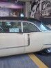 IMG-20250426-WA0167.jpg