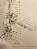 IMG_8097.jpeg