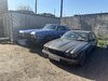 IMG_8977.jpeg