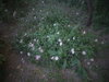DSC09972.JPG