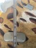 IMG_7099.jpeg
