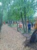 IMG-20250623-WA0049.jpg