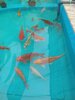 IMG-20250622-WA0045.jpg