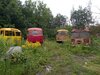 20250809_074317.jpg