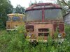 20250809_074454.jpg