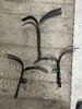 IMG_7373.jpeg