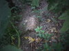 DSC00032.JPG