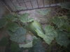 DSC00040.JPG