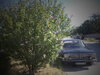 DSC00042.JPG
