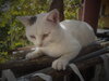 DSC00135.JPG