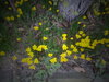 DSC00187.JPG