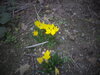 DSC00189.JPG