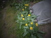 DSC00328.JPG