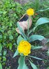 rmTKbsXYEz8O5YpX1zDg0S4oiPeyG3HSuHcZGky8e35LVo-5YdTxX4t7Pu946TEXsptCQt9PwFYYZ8vJr0drxQ2l.jpg
