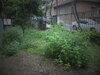 DSC00374.JPG