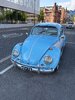 IMG_7445.jpeg
