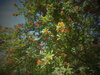 DSC00405.JPG