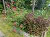 QMH3JlOvSif2y10nSP60PglxL-_VTOs2bPI7ovc2v1E8gCzrWq9TJxWWV3naIupCEUK1GODcX1lvWeD74G4dr9xU.jpg