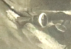Screenshot 2026-06-27 061012_edited.png
