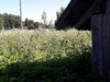 20260627_102729.jpg