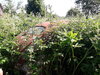 20260627_102808.jpg