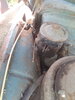 20260627_103403.jpg