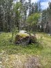 IMG_8044.jpeg