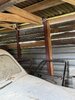 IMG_8668.jpeg