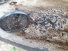 20260731_190418.jpg