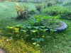 32DpJFMj0IiyRui46rwzoPY9YG-eo6nFMvE4jyXE0jjdMHbsNO75C9WsGUeBEpSTI3xCS09aYBst4b9KCQlVqS8H.jpg