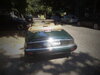 DSC00533.JPG