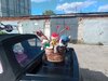 20260811_144858.jpg