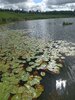 20260813_104807.jpg